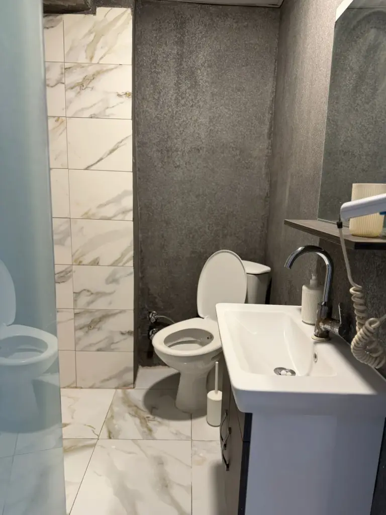 Banyo: duş, lavabo ve klozet