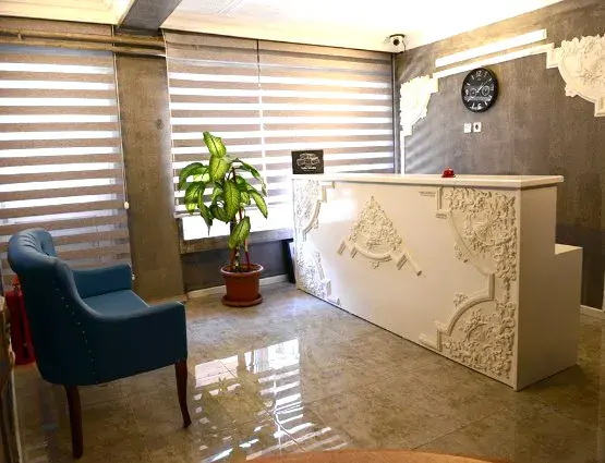 Resepsiyon ve bekleme koltuğu